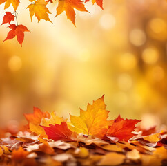 Naklejka premium autumn leaves on the ground and background. soft background.