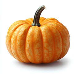 pumpkin isolated on white background with shadow. autumn fall fruit pumpkin for food preparation