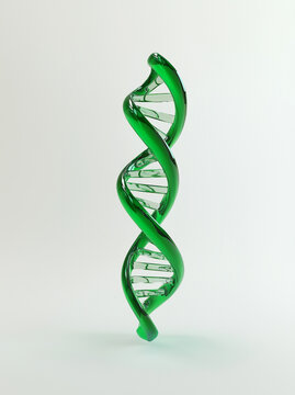 Rendu 3D d&rsquo;H&eacute;lice d&rsquo;ADN Verte