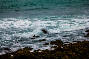 Large waves crash into with coastal rocks covered in green moss. Dramatic sea coast background. Raglan, New Zealand