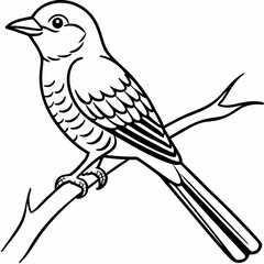 A cuckoo is sitting on a branch line art