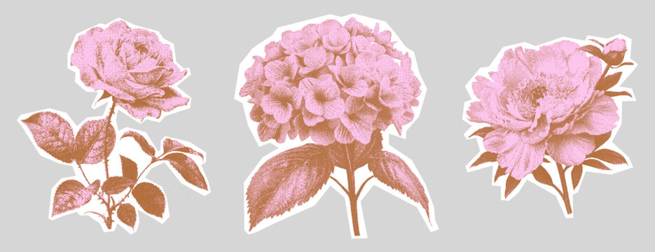  Vintage flowers kit. Collage with a girly aesthetic. Retro bitmap scrapbooking style with cutout element. Trendy stickers for poster art or t-shirt with photocopy dotted effect.