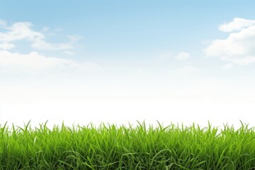 Grass field nature sky backgrounds.