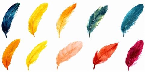 A vibrant collection of colored feathers showcasing various shapes and hues, perfect for creative and artistic projects.