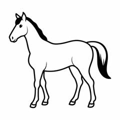 Silhouette of Horse