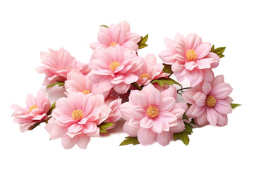 Delicate Pink Blooms Adorning a Soft Background in a Sunlit Room on Transparent PNG Background.