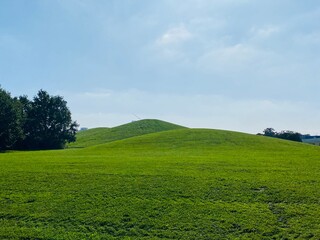 field and blue sky
