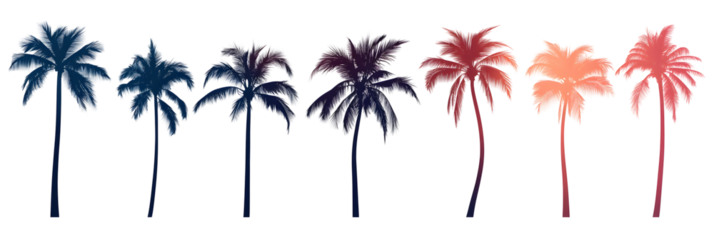 A set of palm tree silhouettes at sunset, cut out