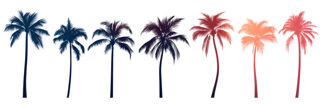 A set of palm tree silhouettes at sunset, cut out