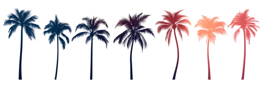 A set of palm tree silhouettes at sunset, cut out
