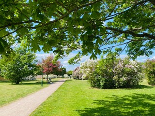 spring in the park