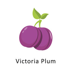 Victoria Plum Vector Flat Icon Design illustration Symbol on White background EPS 10 File