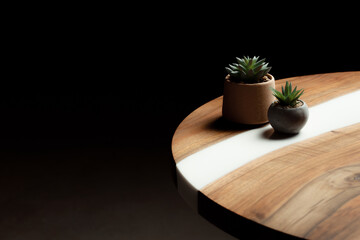Expensive vintage furniture. The table is covered with epoxy resin and varnished. Luxury quality wood processing. Wooden table on a dark background. Home desktop cacti in concrete pots.