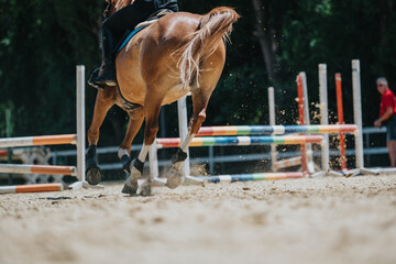 Dynamic view of a horse and rider skillfully navigating an equestrian show jumping course. The...