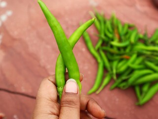 Green chilli holding in hand , copy space, selective focus 