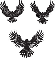 Eagle with Wings Silhouette Vector