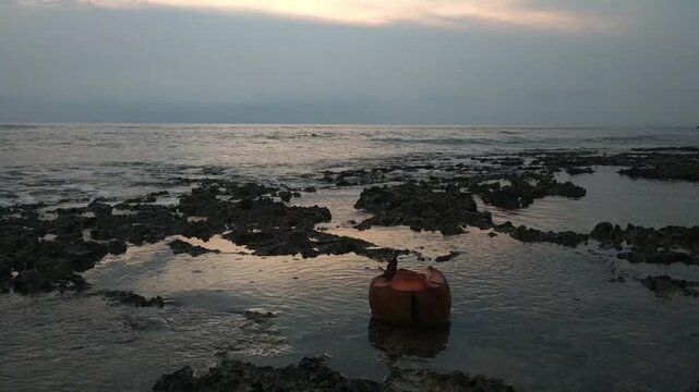 video hd clip ocean wave cocnut movie mp4