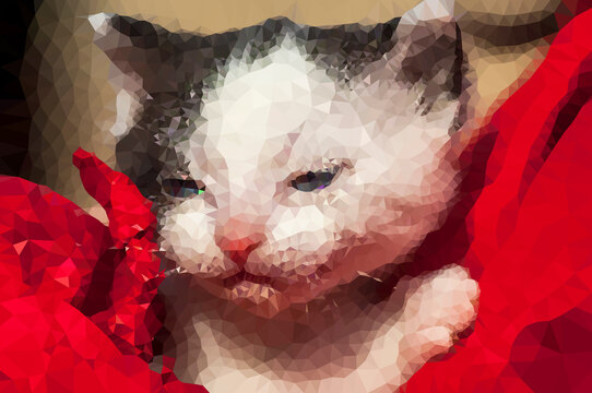Portrait einer Hauskatze