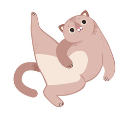 Funny playful cat. Domestic cat isolated on a white background. Flat vector illustration