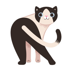 Black and white playful cat. Cute pet cat isolated on white background. Flat vector illustration