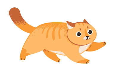 Cute ginger running cat. Red cat isolated on a white background. Flat vector illustration