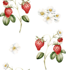 Strawberry, ripe berries with flowers and leaves. Watercolor illustration, floral seamless pattern on white background