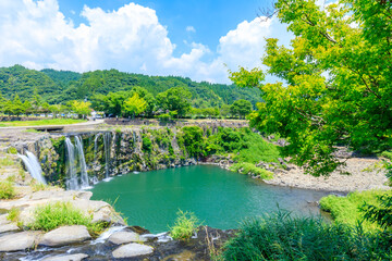 夏の原尻の滝　大分県豊後大野市　Harajiri Falls in summer. Oita Pref, Bungoono City.