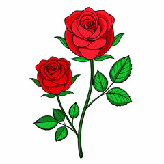 Roses Vector illustration on a White Background