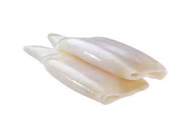 Fresh body squids, raw two tube squids isolated on white background.
