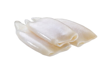 Fresh body squids, raw three squids isolated on white background.