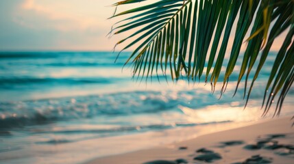 The coconut tree leaves with background with sea waves on the beach for mockup background. Tropical sea beach template and palm leaf on seaside