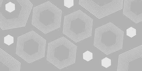 Luxury white and grey hexagonal abstract background with shadow. Geometric 3d texture illustration. Luxury   gray pattern with hexagons. abstract 3d hexagonal background with shadow. 