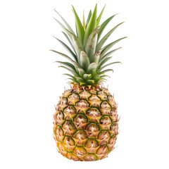 Fototapeta premium Pineapple