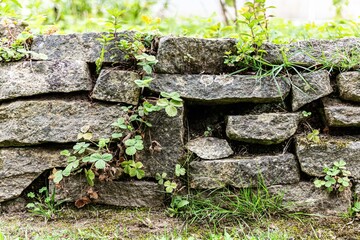 Mur en pierre