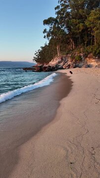 A stunning sunset graces the horizon, casting a warm glow over the ocean waves gently lapping the sandy shore, evoking peace, tranquility, and the beauty of nature's end-of-day spectacle.