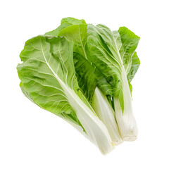 Chinese Cabbage : White-green leaves, crispy, used in soups, stir-fries, and clear soup, vegetables and herbs, studio lighting, isolate on white background, photo