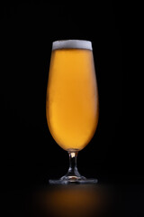 Glowing Golden Lager