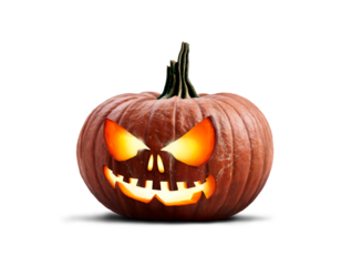 A single lit spooky halloween carved pumpkin, Jack O Lantern with evil face and eyes isolated against a transparent background looking to the left.
