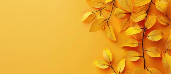 Fototapeta premium Invitation mockup on a colored background. with copy space image. Place for adding text or design