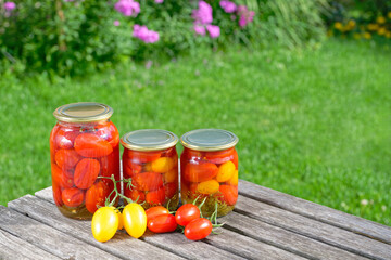 Homemade pickled tomatoes with dill and garlic