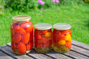 Homemade pickled tomatoes with dill and garlic