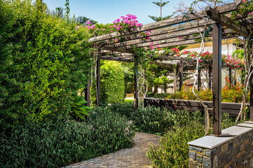Lush Mediterranean garden featuring vibrant green foliage and a charming wooden pergola. Scene is...