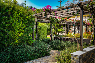 Lush Mediterranean garden featuring vibrant green foliage and a charming wooden pergola. Scene is tranquil serene, with dappled sunlight filtering through the pergola's wooden slats onto stone pathway