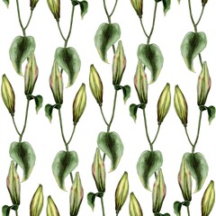  Green lily buds seamless pattern watercolor illustration. Perfect wedding stationary, greetings, fashion, background. For fabric textile design or Product packaging