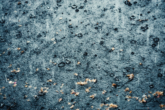 Heavy rain creates ripples and puddles on a dark asphalt street, with scattered small debris visible..Europe, Norway, Oslo, 09.05.2024