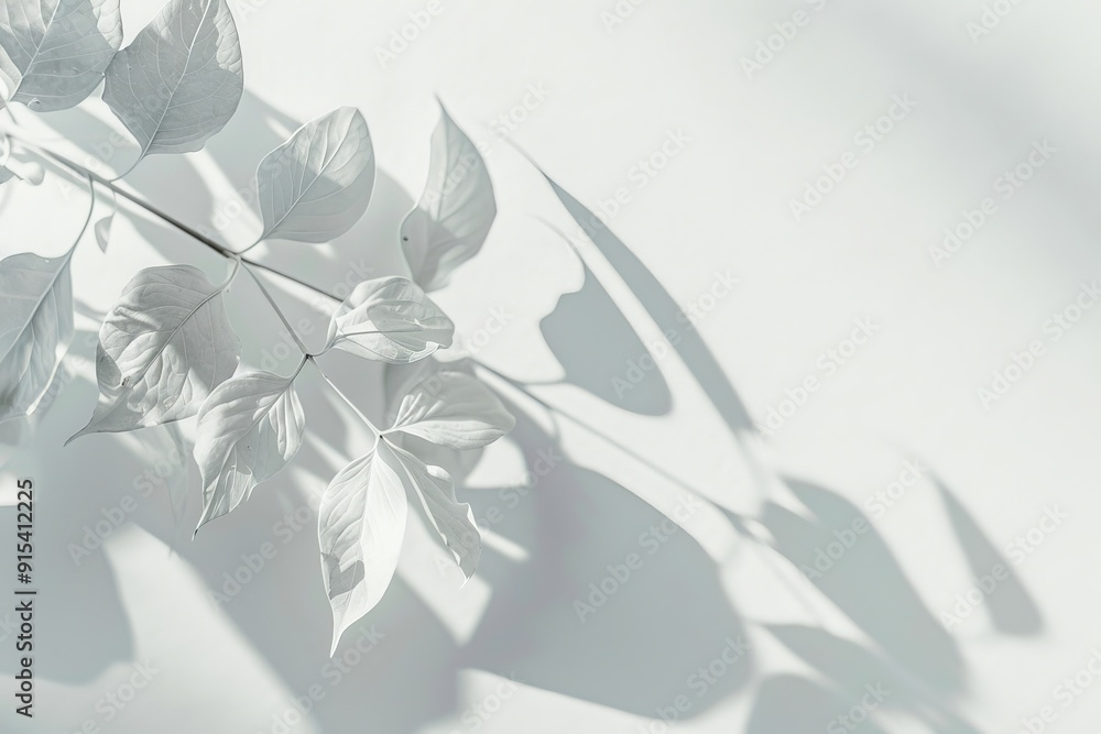 Wall mural minimalistic white background with a barely-there, soft shadow of a leaf pattern