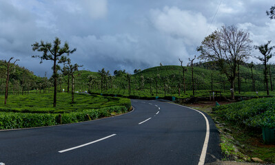 road in the forest