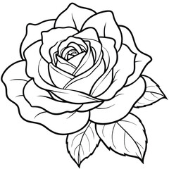 Rose flower coloring book pages for children and adults
