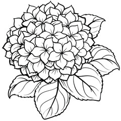 Hydrangea Flower Bouquet outline illustration coloring book page design, Hydrangea Flower Bouquet black and white line art drawing coloring book pages for children and adults