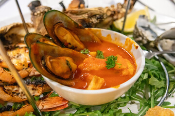 seafood. oysters in a restaurant